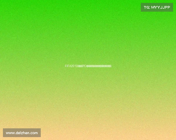 FIFA2010世界杯PC补丁整合升级与游戏体验优化完全指南 FIFA2010世界杯PC补丁整合升级与游戏体验优化完全指南